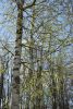 DSC_6383.thumb.JPG.384f0472177e1596c2d33067f4c6f264.JPG