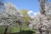 DSC_6405.thumb.JPG.b7fdfa1fd7cde7be8e954e8aa6a09371.JPG