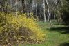 DSC_6414.thumb.JPG.56cdbe6aa1efa7995d8a2d04203df388.JPG