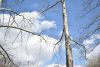 DSC_6420.thumb.JPG.2a94252e61e9ea62a5f44e70b00374c8.JPG