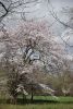 DSC_6423.thumb.JPG.9d0dd5b398da01b7800ba6d39546a2e4.JPG