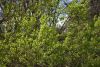 DSC_6426.thumb.JPG.ed70c73e9e048aba863fa6818e5bad9a.JPG