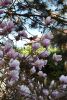 DSC_6432.thumb.JPG.d2980c3184f5237ea68b2d997d7a9c03.JPG