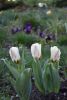 DSC_6435.thumb.JPG.b1199527035810a83e61e53e1af373af.JPG