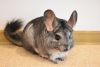DSC_6491.thumb.JPG.a3194ce5443581f1cb8bba9cfa33a9df.JPG