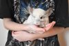DSC_6496.thumb.JPG.3844d94332d904dffe9b5c9bd4634405.JPG