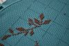 DSC_6511.thumb.JPG.265d0c3ffb2033ed84060a5b63f84137.JPG
