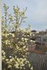 DSC_6512.thumb.JPG.a1d987bca880539343e20a65b085369b.JPG