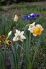 DSC_6517.thumb.JPG.8d7f283e0aa888cc16d30281f9dade4f.JPG