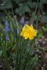 DSC_6531.thumb.JPG.f2a0467b85e2b4de46872ce878d151e9.JPG