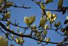 DSC_6538.thumb.JPG.8bce3c5b0e376737c1aa672dd60dc34d.JPG