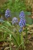 DSC_6539.thumb.JPG.78c0ad6c107137507e78b9185dc9d9b5.JPG