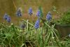 DSC_6540.thumb.JPG.5fb877c08405bfe0d7cc82b115432e11.JPG