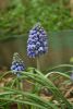 DSC_6541.thumb.JPG.8988b17de97c15fc588979efbf3cc3fe.JPG