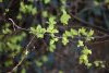 DSC_6552.thumb.JPG.f97e7adc3f688351b0e08bd5297ad5c5.JPG?1649928024588
