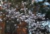 DSC_6556.thumb.JPG.51289fbb63ef5af8dace9c9838a3e62e.JPG