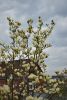 DSC_6567.thumb.JPG.874d1b3eecd0288fadbda0f652627765.JPG