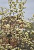 DSC_6604.thumb.JPG.8c76ba01056f5056c4ebf0a7eba05dfe.JPG