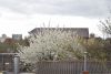 DSC_6615.thumb.JPG.8f450ec335181ac160933dc9236b8984.JPG
