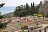 DSC_7010.thumb.JPG.d42821e6bc06c1852d4bd0f81a6f641e.JPG