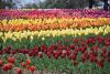 DSC_7045.thumb.JPG.ce9a31fe97ac184b1ff1e5dfcc446167.JPG