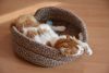 DSC_7454.thumb.JPG.4748a785c18dd6a0e5efda6bbecaf736.JPG