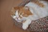 DSC_7456.thumb.JPG.7c4aa05608b392b3c4d9cacd1711e868.JPG