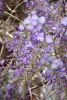 DSC_7464.thumb.JPG.ac4fe0cfff69e00a91784b0b6fc39c78.JPG