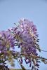 DSC_7466.thumb.JPG.25e2f140b0a02ce9786f690534d42693.JPG