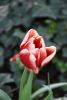 DSC_7480.thumb.JPG.8488b57665c9527086ea5e8ac0dd3304.JPG