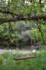 DSC_7485.thumb.JPG.52cacfe72600686dadd2440cc85ed6ce.JPG