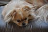 DSC_7500.thumb.JPG.eeb4ec8ddb3b52ef33acee59fd17f9e2.JPG