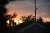 DSC_7519.thumb.JPG.a82e5f93a8d091887ce7eec2f93c538c.JPG