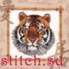 FC0443B6-A1E3-435A-B8D9-BB40206BF859.thumb.jpeg.ec8b8af3cd21010a1d809bfdafff8976.jpeg
