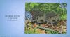 Hedgehogs-2.thumb.jpeg.409ec88b79475e29ba54c08ebb5aecb0.jpeg