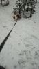 IMG-20220402-WA0015.thumb.jpeg.a96ec7bd01c268ebf57b6048f78721c8.jpeg