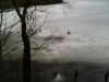 IMG0319B.thumb.jpg.64cbb303b0bfa3e6460e322388a4da30.jpg