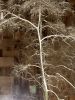 IMG20220402210114.thumb.jpg.6fcaab3c4f5b73337f3220b177ebb86f.jpg