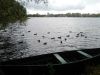 IMG_20210926_145334.thumb.jpg.33dbf1693f1866a1a32251a10387b36d.jpg