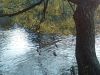IMG_20211008_165256.thumb.jpg.71dc307eb2c23116ab60ae6f047cff30.jpg