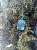 IMG_20220123_124425.thumb.jpg.90f4fb7b039a54e3e86ddc59bca8443c.jpg