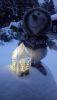 IMG_20220124_171223288.thumb.jpg.9587af14fbd2d9b7896da54f0d940a37.jpg