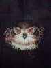 IMG_20220401_114223.thumb.jpg.99a24b9cc6a6a6cfe9587eda5b9f6ad0.jpg