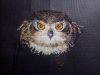 IMG_20220401_172105.thumb.jpg.338f7ecee756072e37427e4b32ab0c6a.jpg