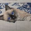 IMG_20220401_213551.thumb.jpg.c4b35bf7a0017c8de0e247f47f2938bb.jpg