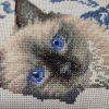 IMG_20220401_213603.thumb.jpg.8c14b090ce1ff2f44257ad4ba321dede.jpg