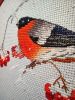 IMG_20220402_195639.thumb.jpg.5a939130b150fe46f68240c799b85db7.jpg