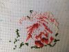 IMG_20220405_105656_compress94.thumb.jpg.69d9d3daaf82390c79ffc8e1e30c11a0.jpg