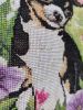 IMG_20220409_142924.thumb.jpg.cd5ea919f6bb041866c4ff22670ffa80.jpg