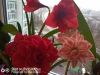 IMG_20220410_092253.thumb.jpg.a6ecacff68403ff20bb2dd8288a82209.jpg